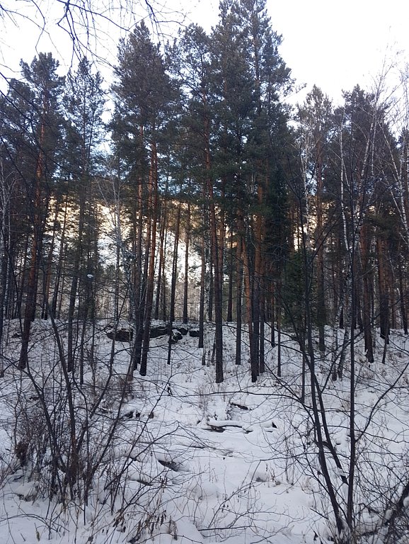 Фото из отзыва от 02.01.2025