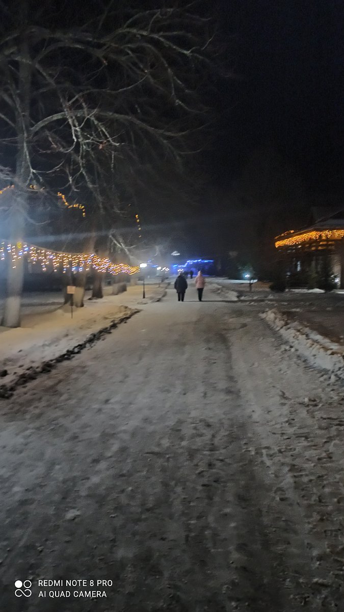 Фото 5 из отзыва о парк-отеле Фестиваль