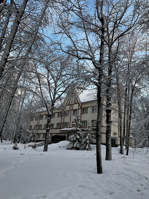 Фото из отзыва от 02.01.2025