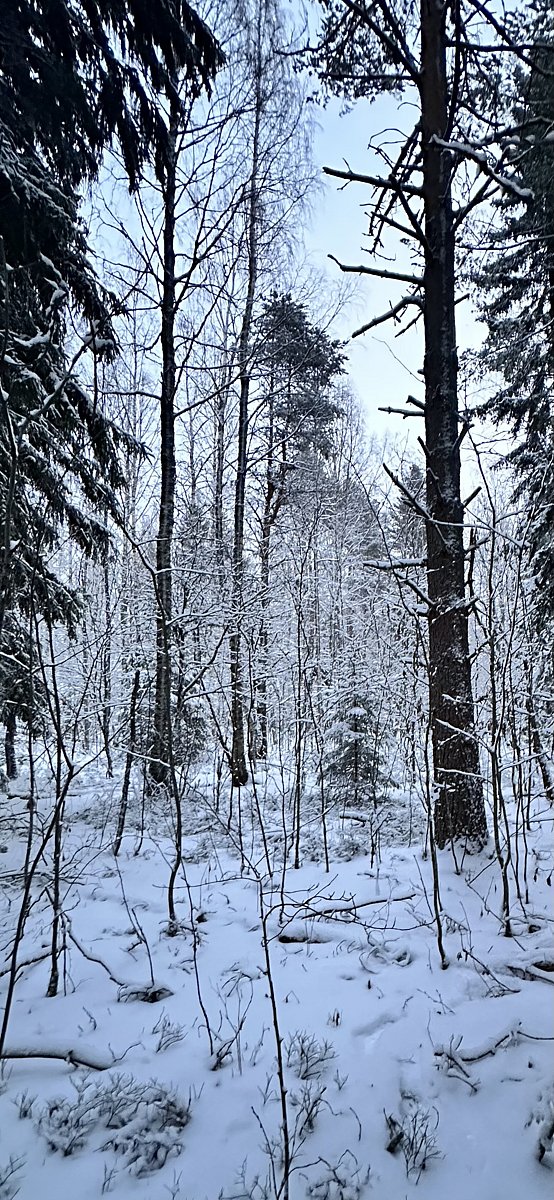 Фото 35 из отзыва о базе отдыха ALDI-Karelia