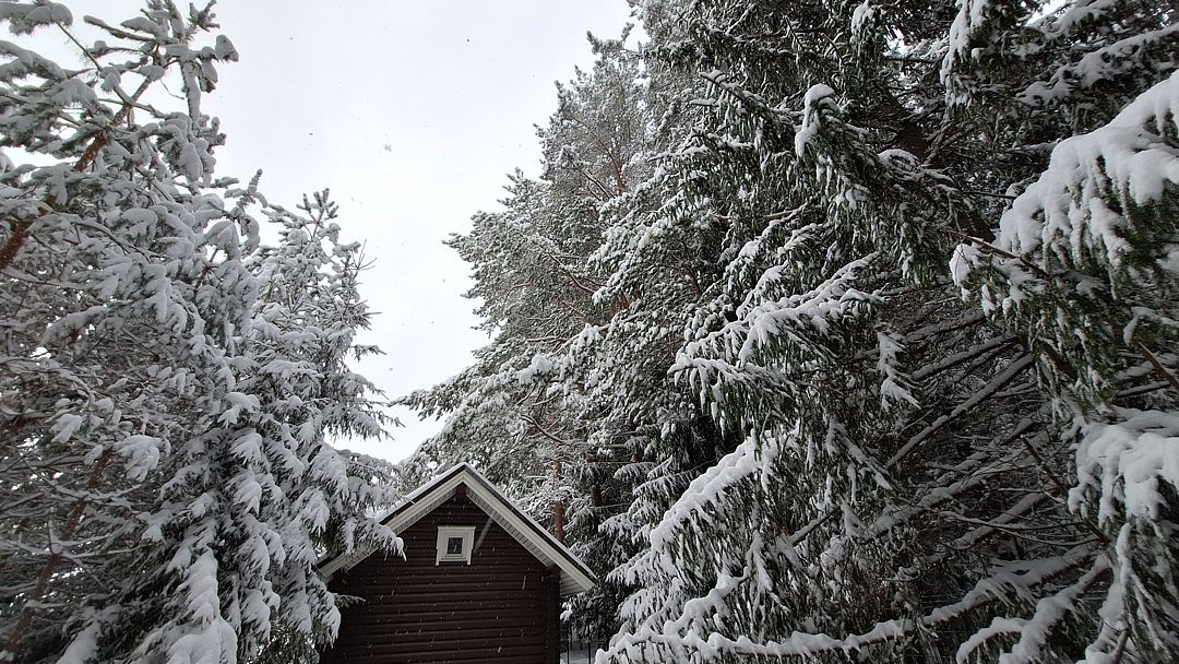 Фото 5 из отзыва о гостевом доме Алавойне
