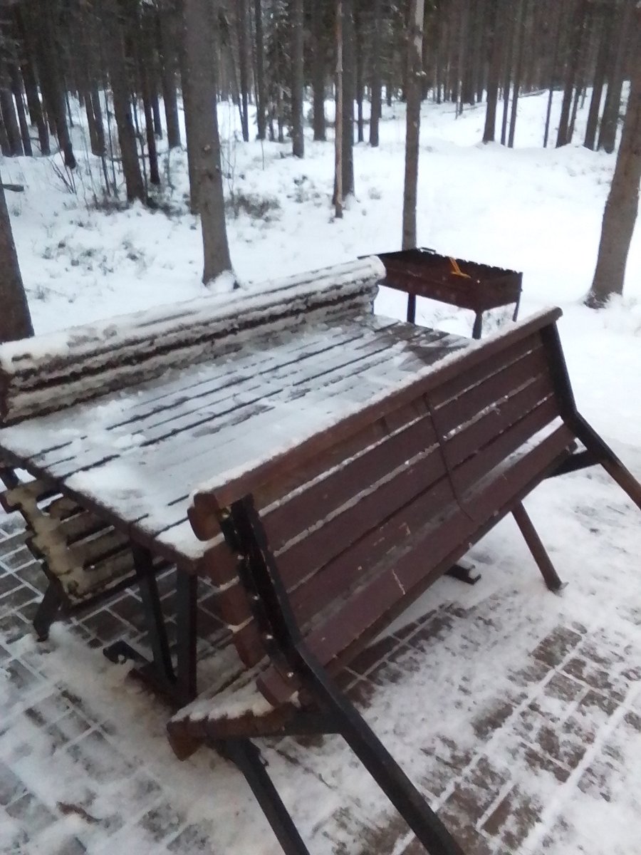 Фото 12 из отзыва о базе отдыха Ильичево