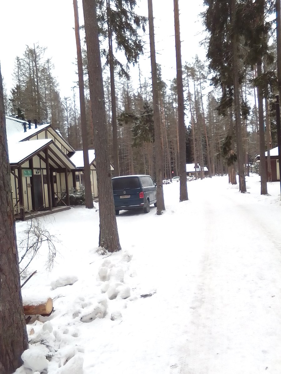 Фото 16 из отзыва о базе отдыха Ильичево