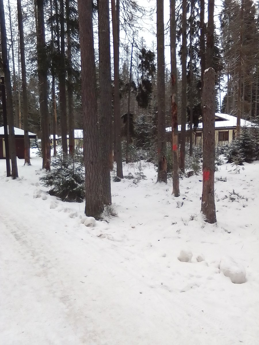 Фото 17 из отзыва о базе отдыха Ильичево