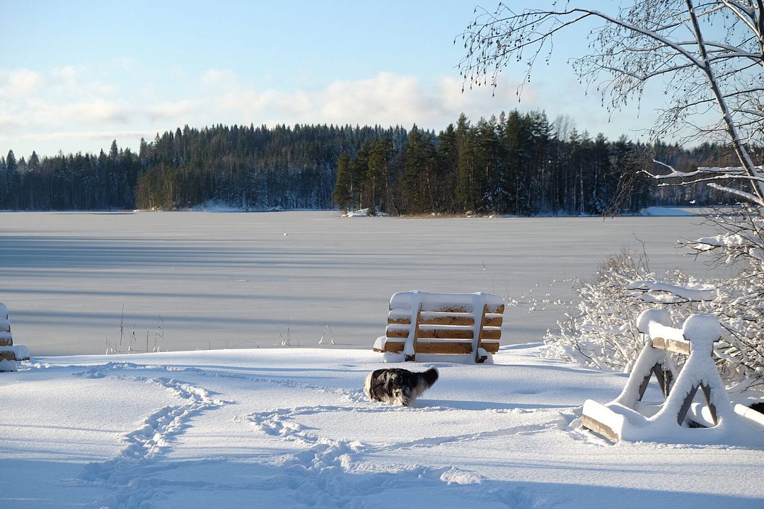 Хюгге Кэмп Карелия, Республика Карелия: фото 5