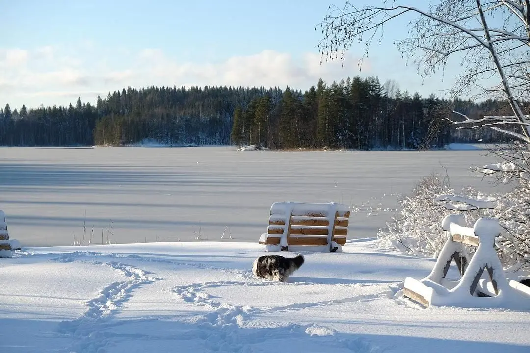 Хюгге Кэмп Карелия, Республика Карелия: фото 5
