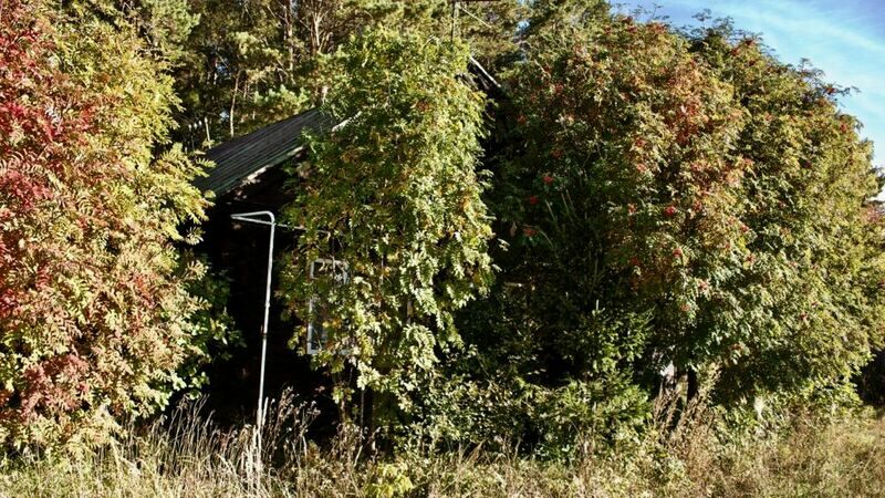 BIG FISH VILLAGE, Республика Татарстан: фото 4