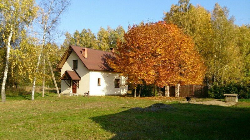 Заезд Зубачи, Брестская область: фото 2