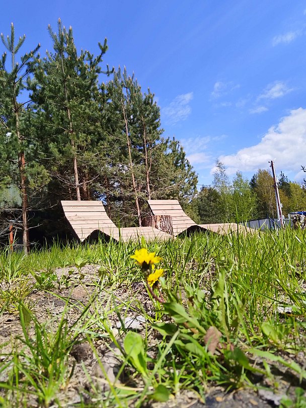 А в лесу, Московская область: фото 3