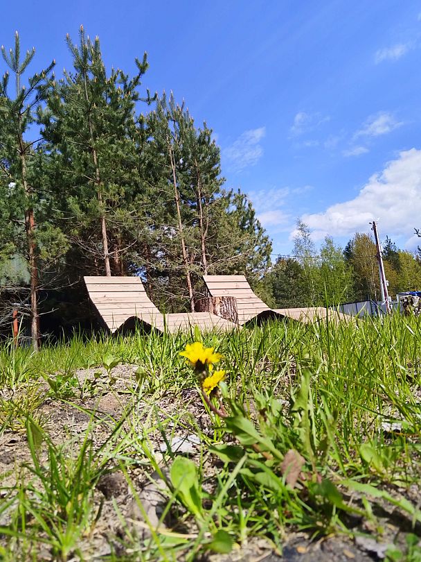 А в лесу, Московская область: фото 3