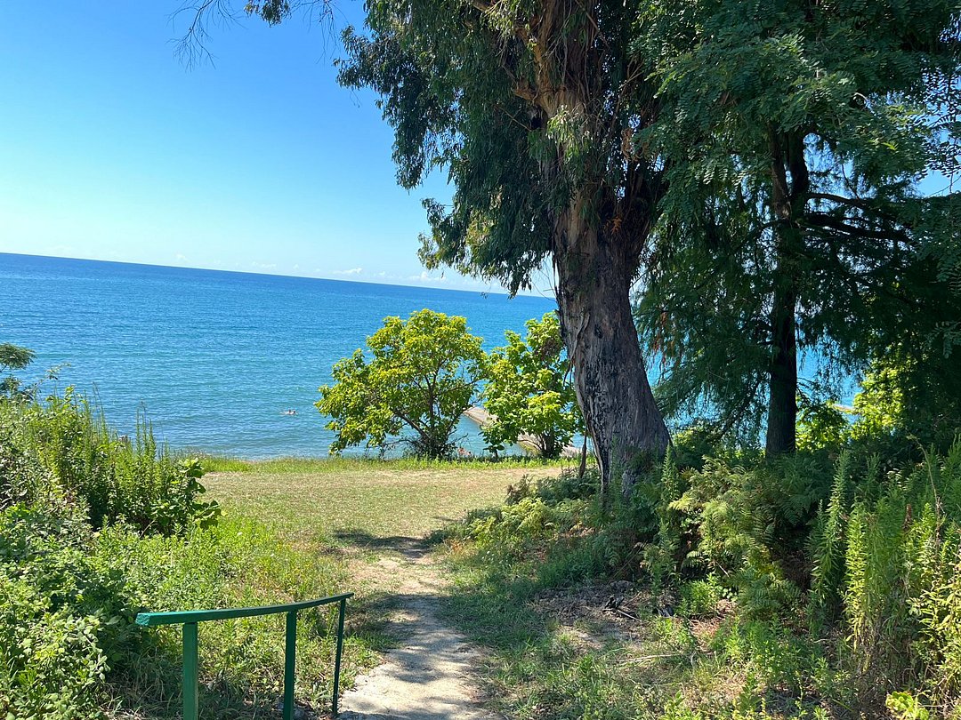 Бамбукинг, Гудаутский район: фото 4