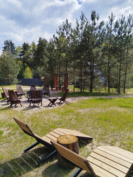 А в лесу, Московская область: фото 5