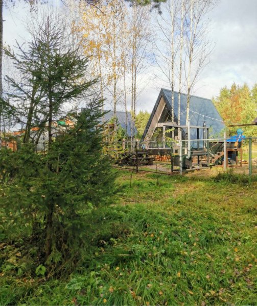 А в лесу, Московская область: фото 2