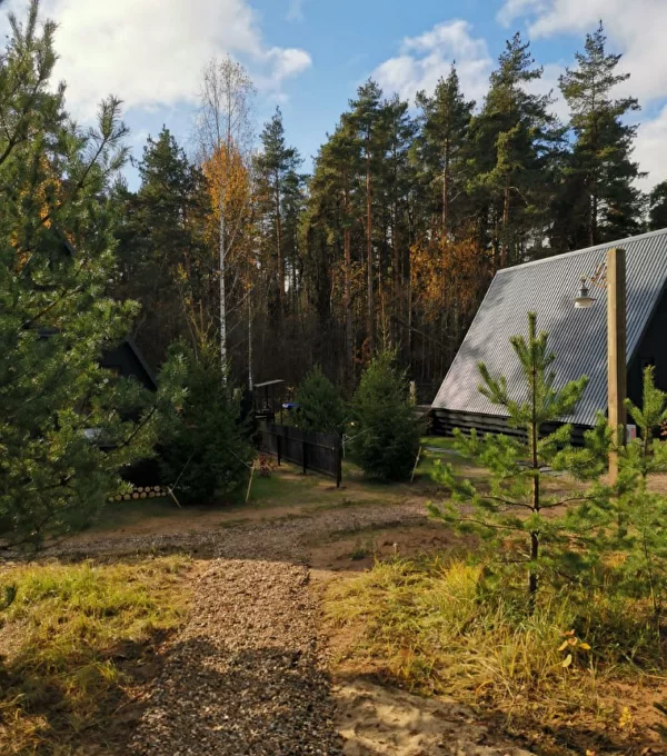 А в лесу, Московская область: фото 4