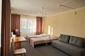 Корпус Лепесток. Стандарт однокомнатный двухместный, Дом отдыха Березки, Зеленая Поляна