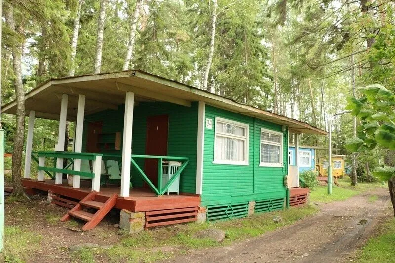 Манола, Ленинградская область: фото 5