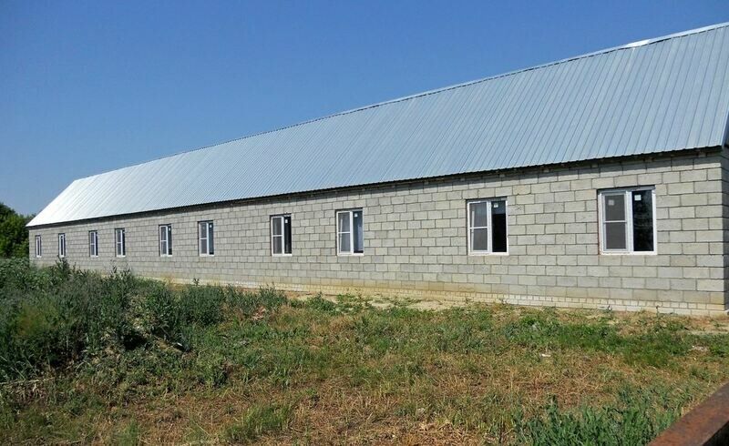 У Кузьмича, Волгоградская область: фото 5