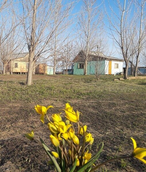 База отдыха Ахтуба-клуб, Астраханская область, Харабалинский район Селитренное Енотаевский район