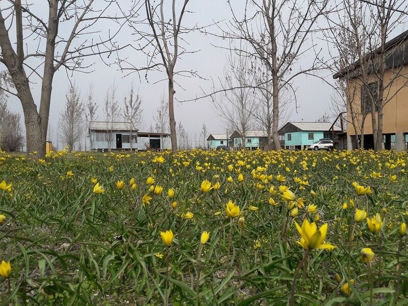 Ахтуба-клуб, Астраханская область: фото 3