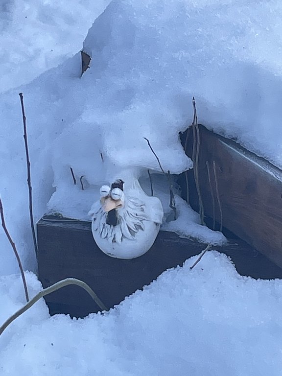 Фото из отзыва от 16.01.2025