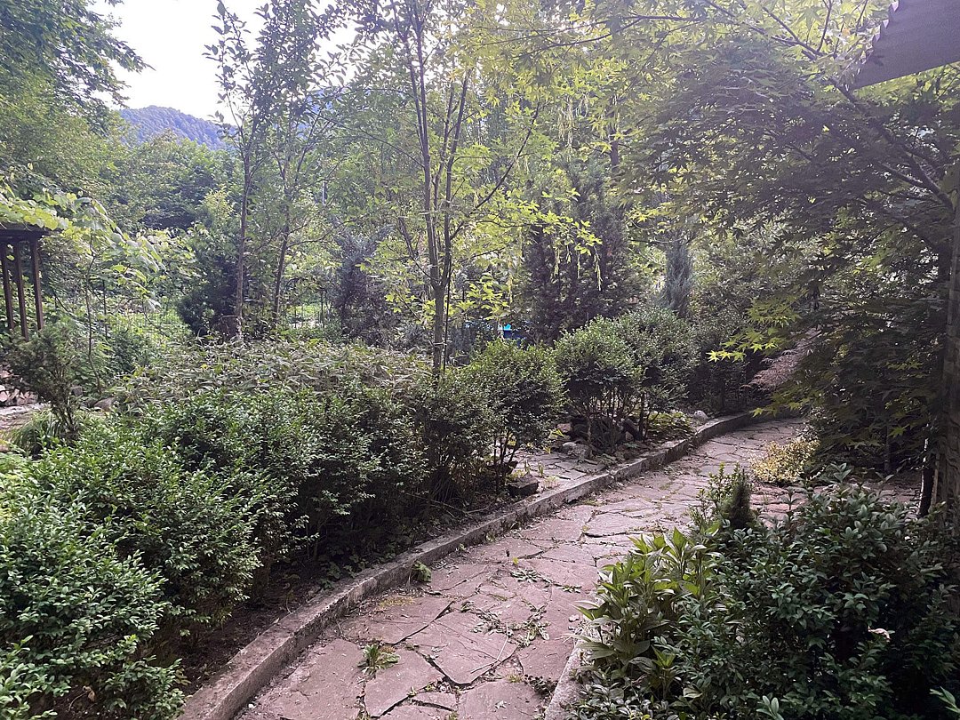 Никель, Республика Адыгея: фото 4