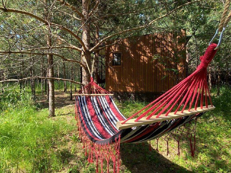 Skazka в Лесу, Владимирская область: фото 5