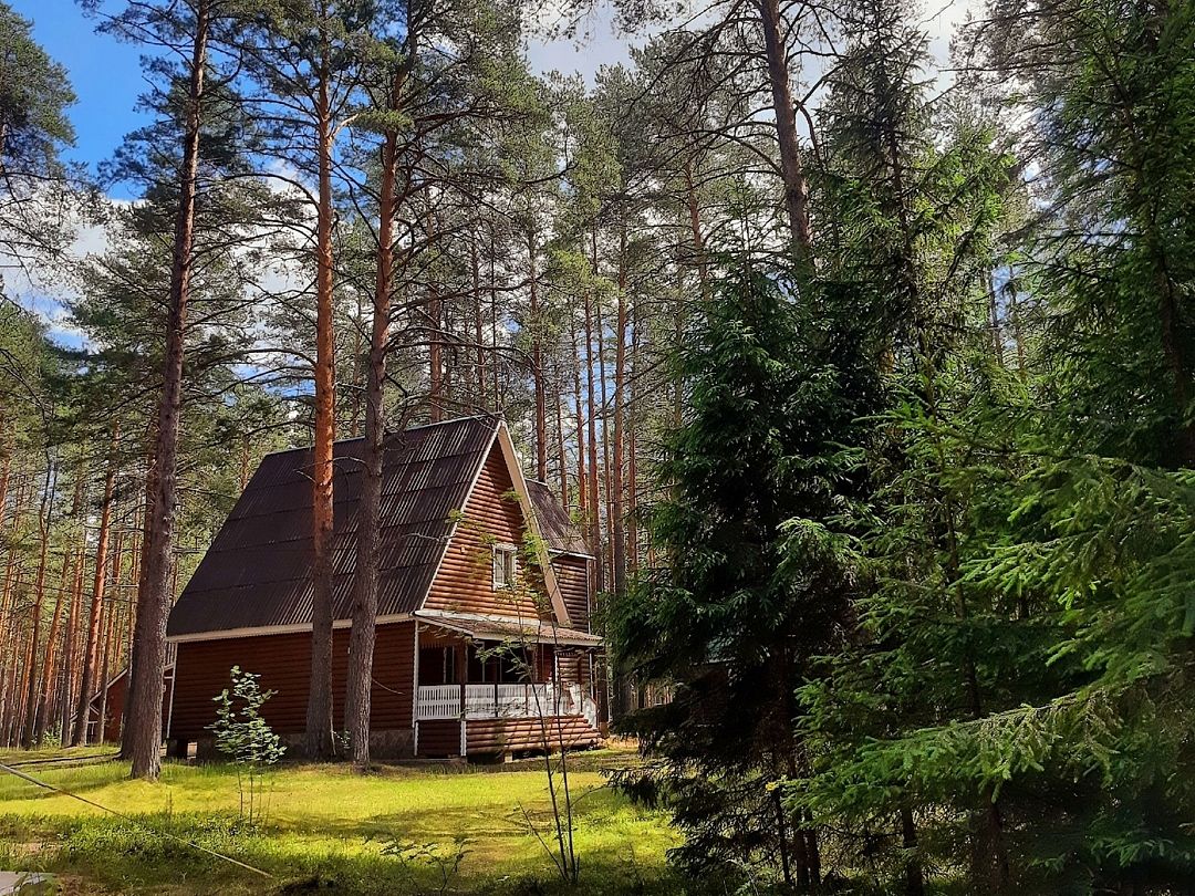 Нью Ветлуга Парк, Костромская область: фото 3