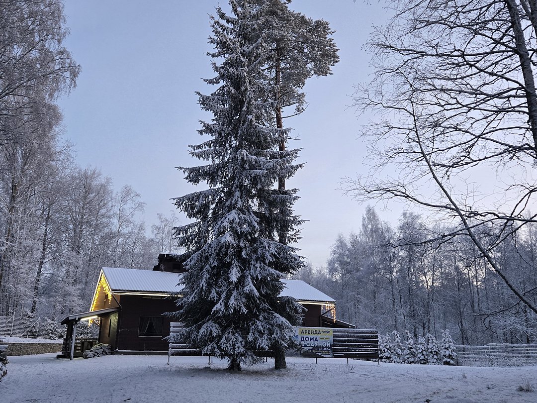 Хутор Vilppula, Ленинградская область: фото 2