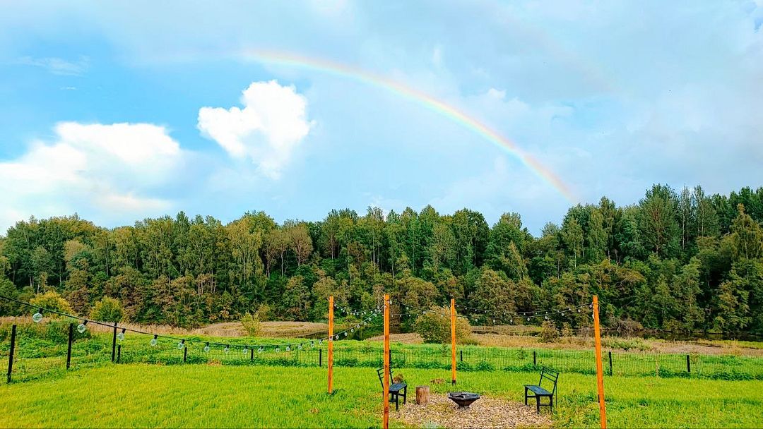 Барни дом, Костромская область: фото 3