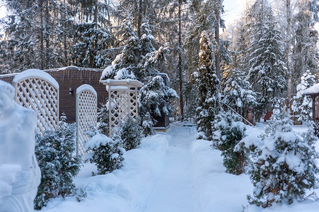 Лопановичъ PARK, Ленинградская область: фото 4