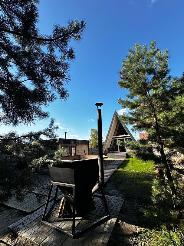 Green les, Омская область: фото 3