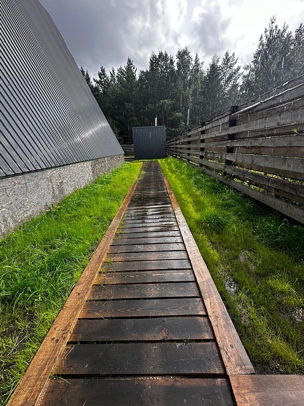 Green les, Омская область: фото 2