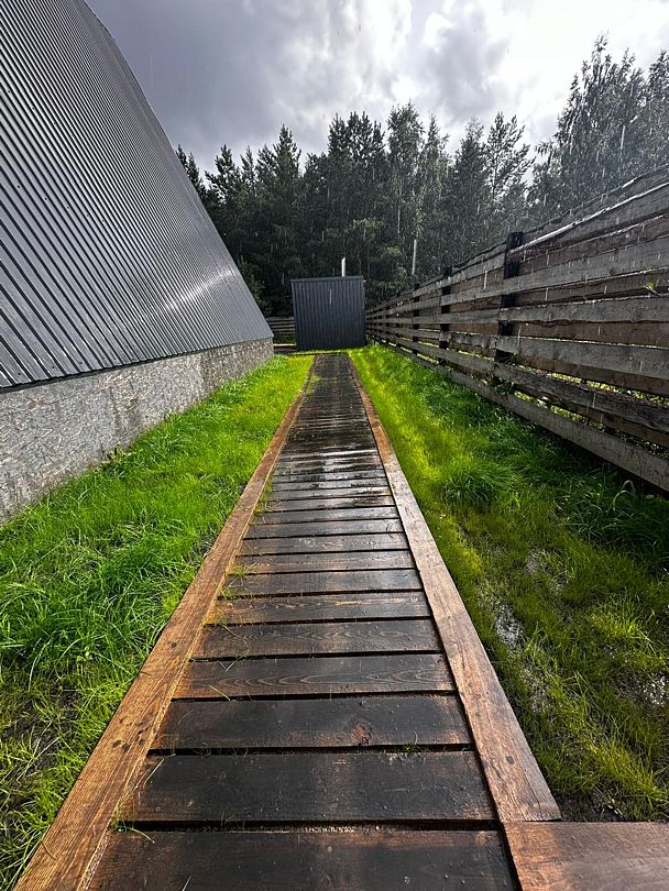 Green les, Омская область: фото 2