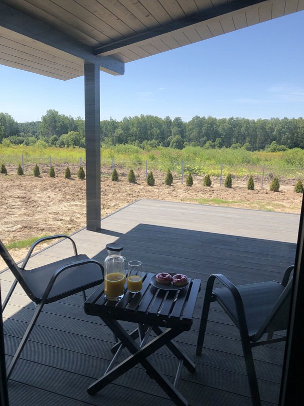 Sheluha house Дом около Истры, Московская область: фото 5