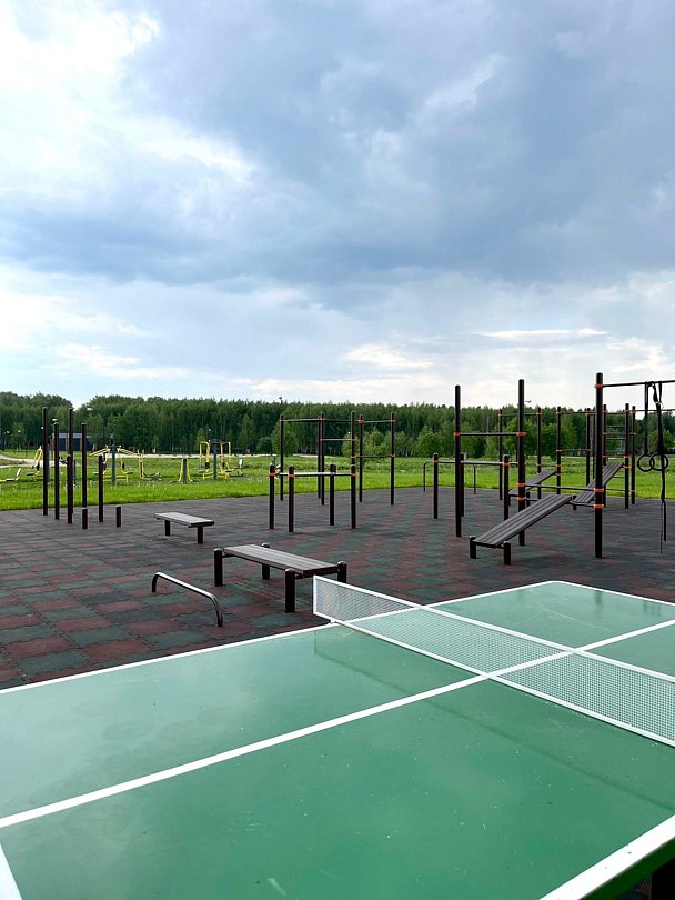 Sheluha house Дом в поселке бизнес-класса, Московская область: фото 3