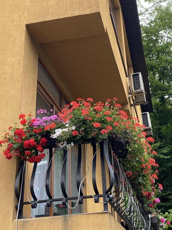 на Черноморской 2, Краснодарский край: фото 2