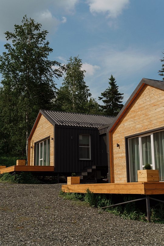 Еловый лис, Кемеровская область: фото 2