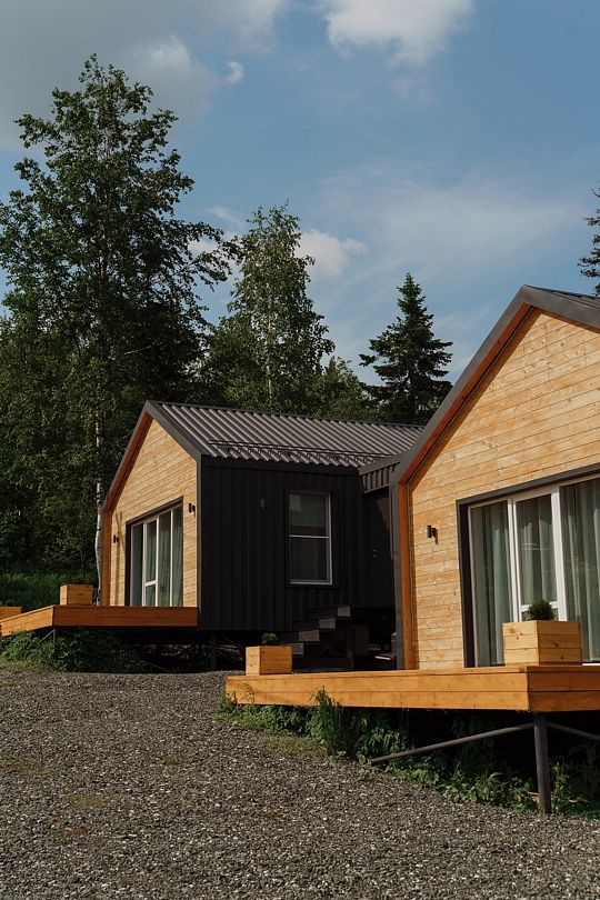 Еловый лис, Кемеровская область: фото 2