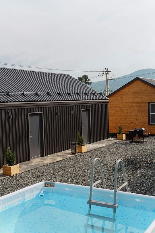 Еловый лис, Кемеровская область: фото 5