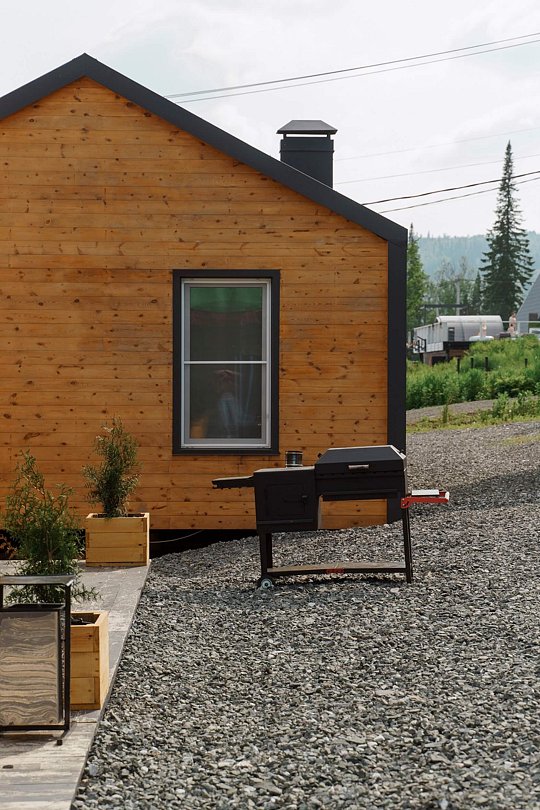 Еловый лис, Кемеровская область: фото 3