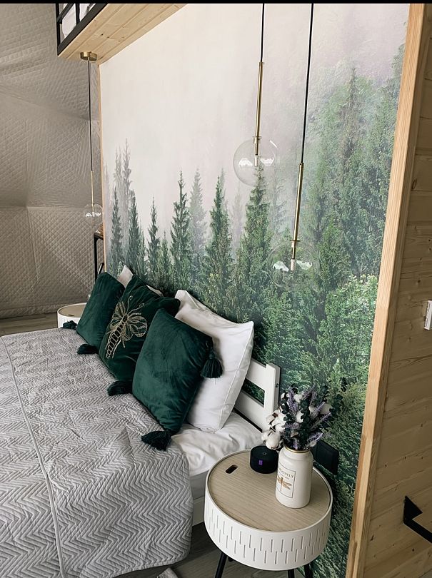 Dzen Dome, Кемеровская область: фото 5