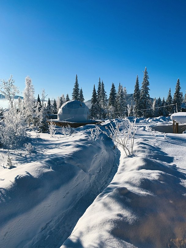 Dzen Dome, Кемеровская область: фото 4