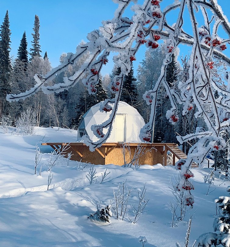 Dzen Dome, Кемеровская область: фото 2