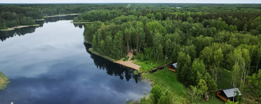 Ромашка, Ленинградская область: фото 5