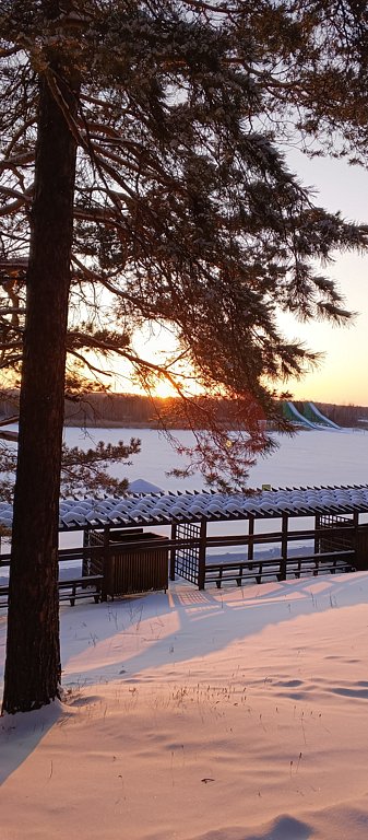 Фото из отзыва от 27.01.2025