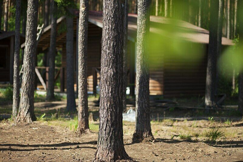 База отдыха Южный Хутор, Ленинградская область, Всеволожский район Колтуши Всеволожск