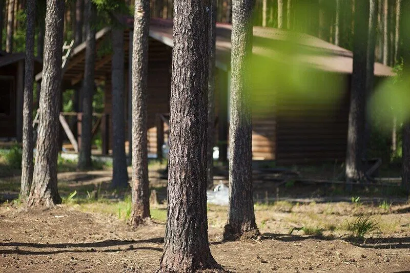 Южный Хутор, Ленинградская область: фото 2