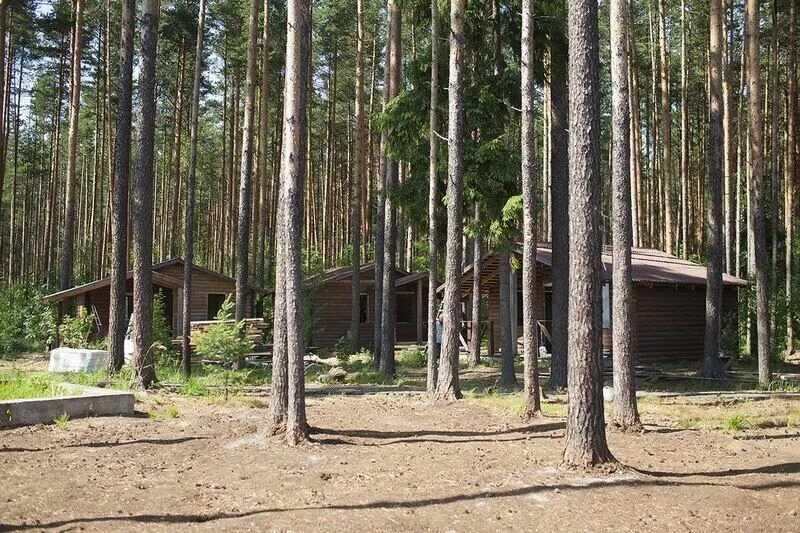 Южный Хутор, Ленинградская область: фото 3