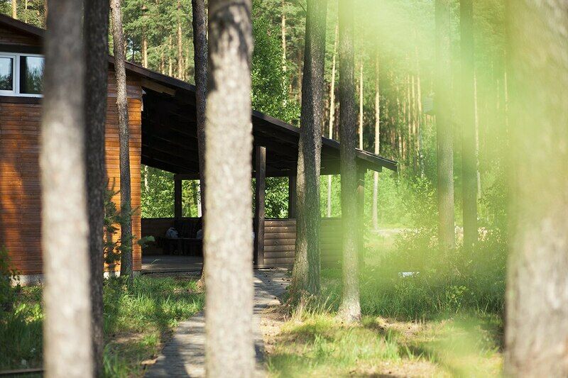 Южный Хутор, Ленинградская область: фото 4