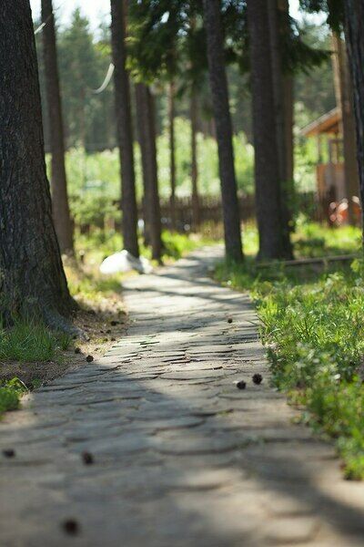 Южный Хутор, Ленинградская область: фото 5